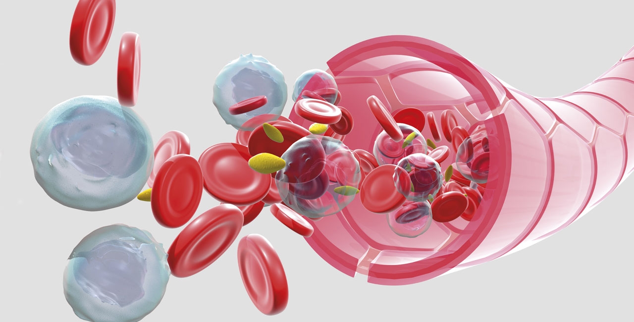 Sigurna i učinkovita primjena antiagregacijske terapije i oralnih antikoagulansa u svakodnevnoj stomatološkoj praksi